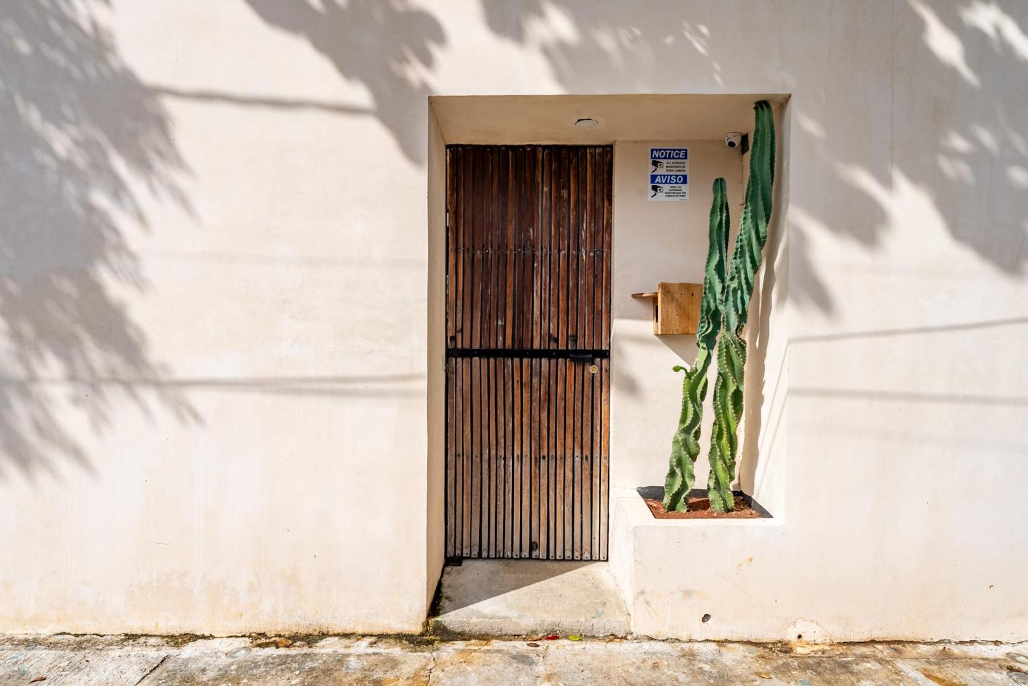 Casa Jicama Apartment แคนคูน ภายนอก รูปภาพ